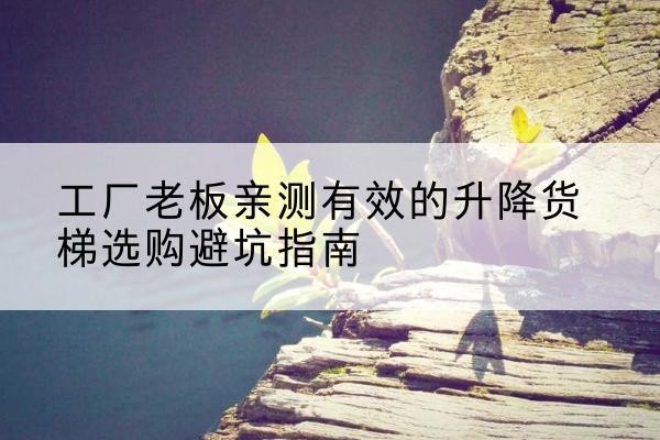 称多升降货梯怎么选-工厂老板亲测有效的升降货梯选购避坑指南