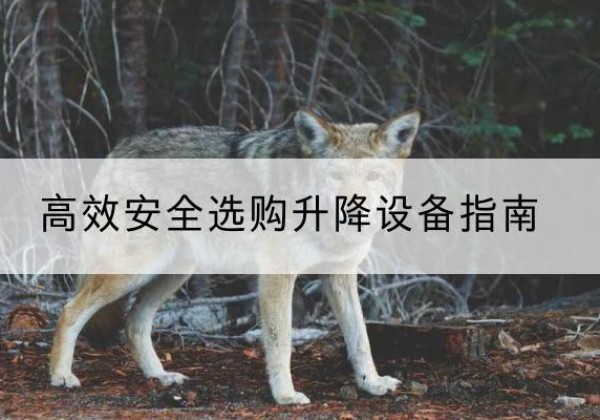 称多升降货梯厂家推荐-*安全选购升降设备指南