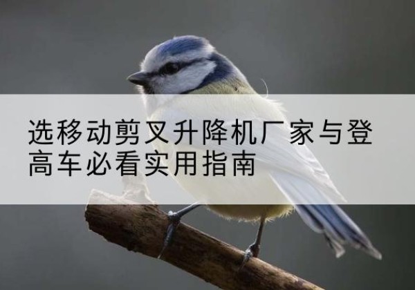 称多电动升降机厂家-选移动剪叉升降机厂家与登高车必看实用指南