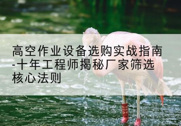 称多剪叉式升降机厂家-高空作业设备选购实战指南-十年工程师揭秘厂家筛选核心法则
