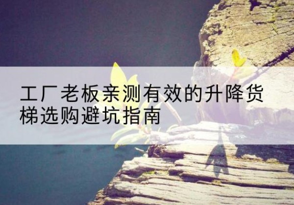 称多升降货梯怎么选-工厂老板亲测有效的升降货梯选购避坑指南